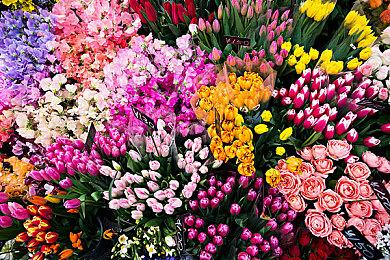 《黎明行者之血》如果能大获成功 在未来将有续作