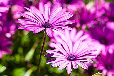 《匹诺曹的谎言》GDC2023全新11分钟实机演示